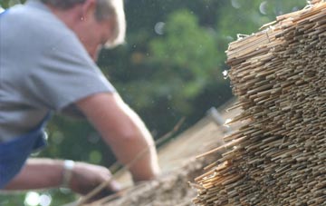 professional Sheeplane thatchers